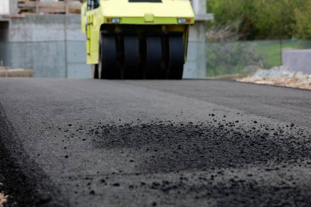 Best Driveway Pavers Near Me  in Dunlap, IA