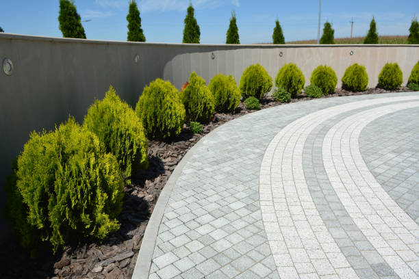 Best Driveway Pavers Near Me  in Dunlap, IA